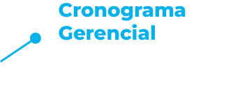 Cronograma Gerencial
